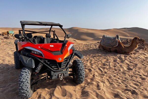 2-hour Buggy 1000cc biking adventure